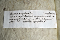 Detalle 1